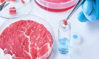 Лабораторный анализ пищевых продуктов по СанПиН в Ленинске-Кузнецком в октябре
