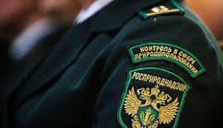 Подготовка к проверке Росприроднадзора в Ленинске-Кузнецком от ПромМир-Лнн, стоимость услуги от 20442 руб.